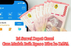 Isi Survei Dapat Cuan! Cara Mudah Raih Rp200 Ribu ke DANA