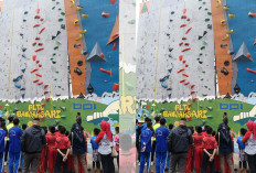 MONCER, Andrenalin Naik Anak SD Langsung Ingin Jadi Atlet Panjat Tebing, Intip Yuk