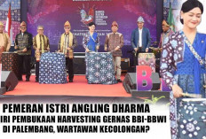 Pemeran Istri Angling Dharma Hadiri Pembukaan Harvesting Gernas BBI-BBWI di Palembang, Wartawan Kecolongan?