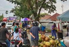 MAKNYUS, Bulan Puasa Pedagang Kelapa Muda Bak Ketiban Durian Runtuh, Kok Bisa Ya 