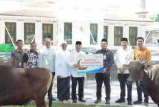 Bank Sumsel Babel Tebar Kepedulian di Iduladha 1447 H, Bantuan Hewan Kurban Disalurkan kepada Masyarakat