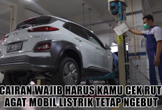 Mau Mobil Listrik Tetap Ngebut, Gak Drama? Ini 4 Cairan Wajib Harus Kamu Cek Rutin, Apa Saja?