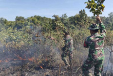 Babinsa Kodim Lampung Timur Tanggap, Dua Lokasi Taman Nasional Way Kambas Terbakar, Ini Aksinya!