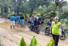 Desa Lubuk Nipis Muara Enim Lumpuh Akibat Longsor, Hujan Deras Sebabkan Bencana