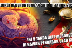 Tahun Ular Kayu! Inilah 5 Shio Siap Meroket dan Menyambut Keberuntungan di Tahun 2025, Kamu Salah Satunya?