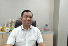 Target PBB Palembang 2025 Turun Rp 15 Miliar, Ini Penyebabnya