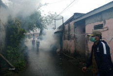 Basmi Penyebaran DBD, Kelurahan Talang Jawa Selatan dan PKM Usila Kerjasama Lakukan Hal Ini