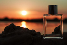 1001 Keunggulan Parfum Pembawa Berkah Minyak Wangi Malaikat Subuh, Harga Mulai 12 Ribuan