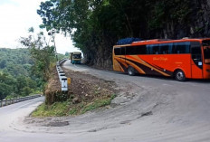 Sebentar Lagi Musim Liburan Yuk Datang ke Kota Pagaralam, Ini Nih 3 jalan Masuknya