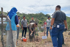 Desa Lesung Batu Jadi Tuan Rumah Hari Menanam Pohon Indonesia 2024, Ini Harapan Kades