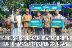 PT Pusri Salurkan 60 Ekor Hewan Qurban, Warga Kampung Sehati Rasakan Keceriaan Idul Adha 1446 H
