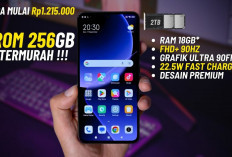 Daftar HP Memori 256GB Mulai Rp1 Jutaan Saja, Berselancar Tanpa Batas!