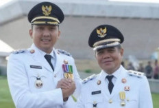 Ga Kaleng-Kaleng! Riset BRIN Sebut Ogan Ilir Menjadi Kabupaten Termaju di Sumatera Selatan