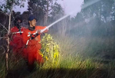 Lebih kurang 2 Hektar Lahan Terbakar di Sungai Rambutan, Pemilik Lahan Belum Diketahui