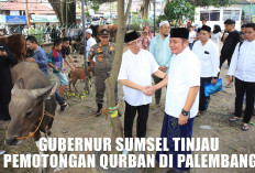 Cerminan Budaya Gotong Royong, Makna Qurban Menurut Gubernur Sumsel Herman Deru  