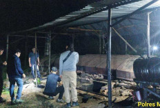 Ungkap Illegal Refinery di Muba, Ini Jumlah Barang Bukti yang Disita Polisi 