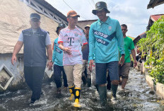 Wali Kota Ratu Dewa Tinjau Genangan Air di SU II, Kerahkan PUPR dan Salurkan Bantuan untuk Warga