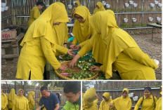Persit KCK Manfaatkan Bahan Baku Sayuran Kebun Kodim 0405 Lahat, Darli: Contoh Ketahanan Pangan Baik