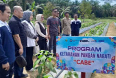 Desa di Muaro Jambi Ini Raih Penghargaan 15 Terbaik Nasional Program BRILiaN 2025 Batch 3, Desa Apakah itu?