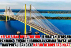 Menelan Biaya Rp15 Triliun, Jembatan Terpanjang Sepanjang 13,5 Km Hubungkan Sumatera Selatan dan Pulau Bangka,