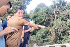 Tinjau Jembatan Ambruk di Muara Lawai, Wagub Sumsel Desak Perusahaan Tambang Segera Bangun Jalan Khusus