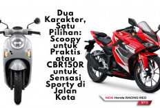 Dua Karakter, Satu Pilihan: Scoopy untuk Praktis atau CBR150R untuk Sensasi Sporty di Jalan Kota