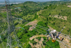 Kabar Baik! Pemerintah Tetapkan Tarif Listrik PLN Begini untuk Periode April-Juni 2026 Ini