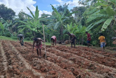 Tunjukkan Komitmennya Dukung Kesejahteraan Masyarakat Perbatasan, Giat Ini Dilaksanakan Satgas Yonif 144 Jaya 