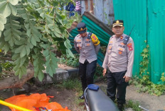 Tragedi Siang Hari di Palembang, Pengendara Motor Meninggal Tertimpa Pohon, Begini Kronologinya