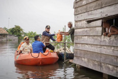Banjir Musi Banyuasin Rendam Lebih 20 Ribu Rumah, Jalan Nasional Sekayu-Lubuklinggau Kena Imbasnya