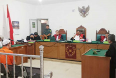 Live TikTok Berujung Bui! Pengelola Judi Adu Cupang Divonis Bersalah