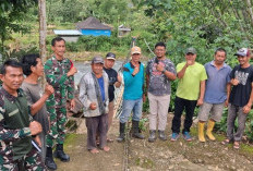 KEREN! Jembatan Gantung 