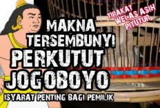 Jenis Perkutut Pembawa Rezeki Berlimpah yang Bikin Pemiliknya Kaya Mendadak, Inilah Keistimewaan Jogoboyo