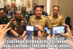 Tegaskan Kesetaraan di Pemprov Sumsel, Gubernur Herman Deru Bolehin Pegawai Non-ASN Pakai Seragam Kuning Khaki
