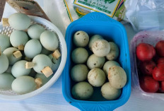 Kuliner Unik Khas Palembang Hanya Ada di Momen 17 Agustus, Apa Saja?