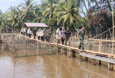 Wah! Ada Wakil Bupati Lahat di Kegiatan Fisik Ketahanan Pangan Program TMMD ke-128