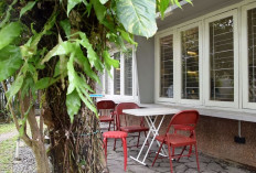 Disambut Pepohonan Rindang, Pendopo Makmur Hadirkan Suasana Tenang di Tengah Hiruk-Pikuk Kota, Ini Lokasinya