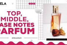 Arti Top Notes, Middle Notes, dan Base Notes pada Parfum, Rahasia Perubahan Aroma dari Awal hingga Akhir