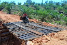 Akhirnya Jembatan Darurat Ini Telah Rampung Dikerjakan, Dimana Lokasinya?