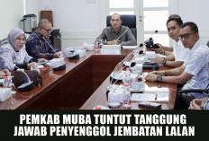 Nasib Jembatan Lalan di Ujung Tanduk, Pemkab Muba Tagih Janji Perbaikan dari Pihak Penyenggol