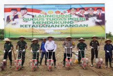 Dukung Ketahanan Pangan, Polres OKU Timur Tanam Benih Jagung  dan Tebar Ribuan Benih Ikan Nila