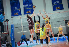 Libas Jakarta Livin Mandiri, Jakarta Electric PLN Mobile Siap Tantang Elit Voli Putri di Final Four