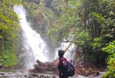 Miliki Aliran Sungai Kembar, Air Terjun Muara Duo Bak Serpihan Permata di Tengah Hutan Empat Lawang