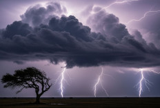 WASPADA! 4 Daerah di Sumsel Hujan Petir Hari Ini Kamis 18 September 2025