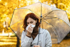 Apakah Musim Hujan dapat Mengganggu Kesehatan? Waspadai 6 Penyakit yang Mengintai di Musim Hujan