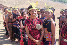 Suku-suku di Provinsi Nusa Tenggara Timur: Tercatat Lebih dari 45 Suku yang Tinggal di Provinsi Ini 