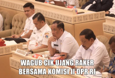 Raker Bersama Komisi II DPR RI, Wagub Cik Ujang Punya Permintaan Khusus untuk Wakil Rakyat Dapil Sumsel
