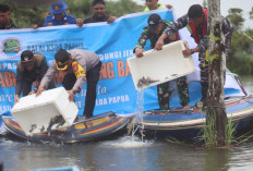 Apa Tujuan Satgas Yonif 141 Aneka Yudha Jaya Prakosa dan BKSD Lepas Liarkan Tukik Kura-Kura Muncung Babi