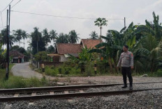 Polisi Ungkap Kronologi Kecelakaan Kereta Api Babaranjang dan Sepeda Motor di OKU Timur