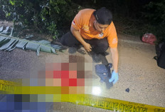 Geger! Mayat Wanita Ditemukan Dengan Luka Robek dan Memar di Pinggir Jalan Desa Sungai Rasau Ogan Ilir